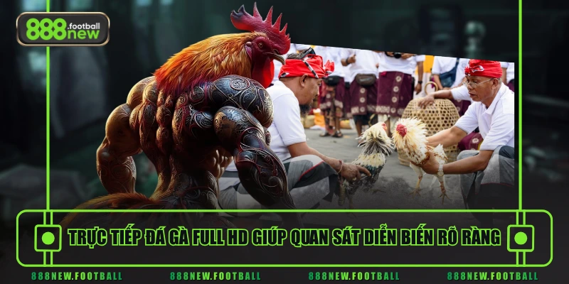 Trực tiếp đá gà Full HD giúp quan sát diễn biến rõ ràng