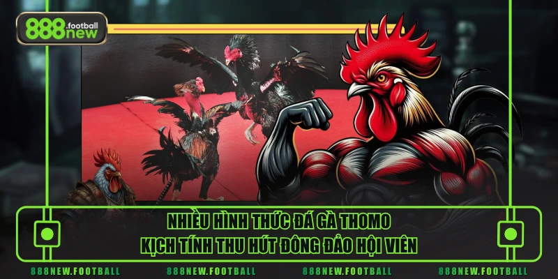 Nhiều hình thức đá gà Thomo kịch tính thu hút đông đảo hội viên