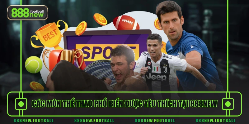 Thể Thao 3 Các môn thể thao phổ biến được yêu thích tại 888NEW